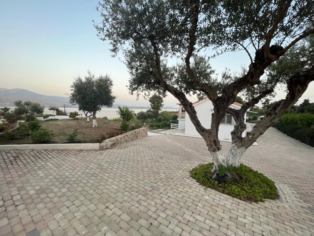 Apollonides Seafront Villa1 Aoede Lixouri Extérieur photo