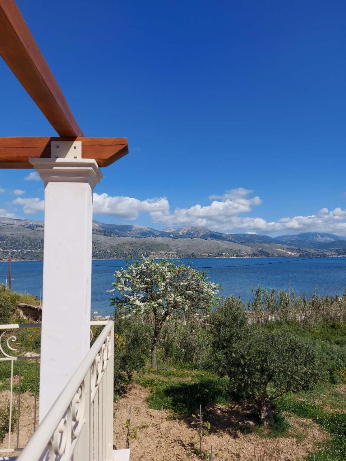 Apollonides Seafront Villa1 Aoede Lixouri Extérieur photo