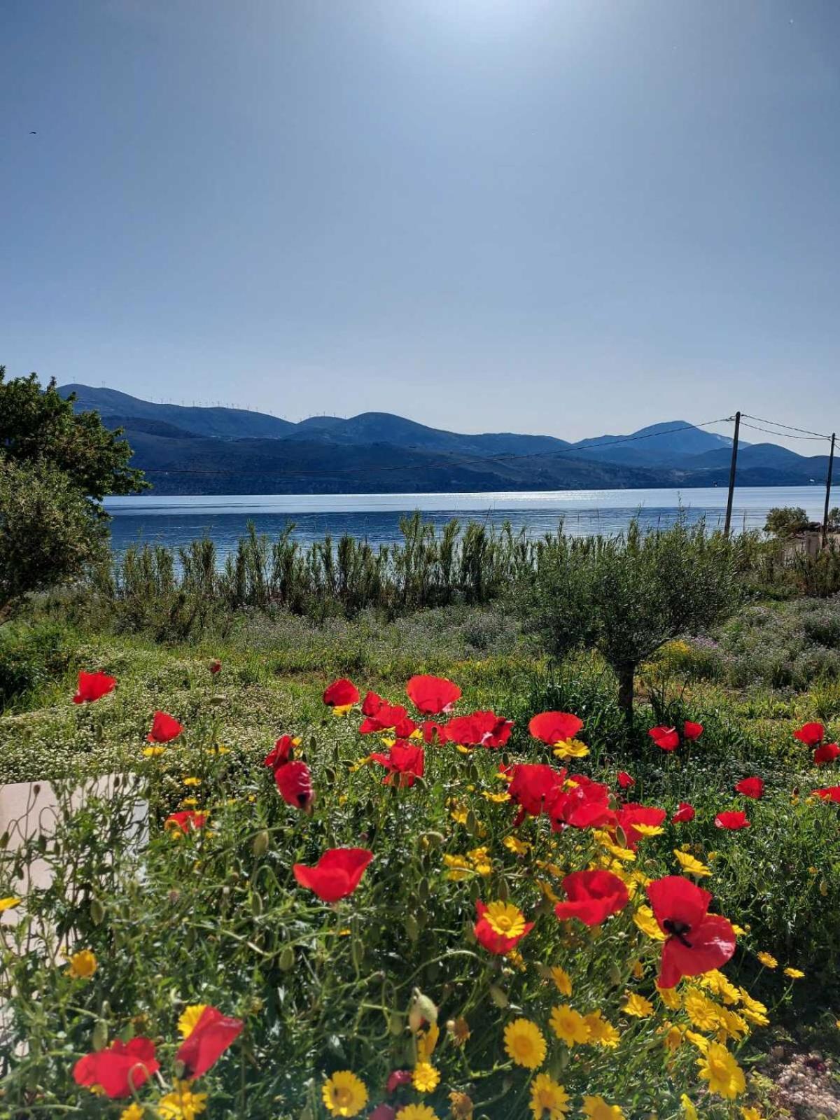 Apollonides Seafront Villa1 Aoede Lixouri Extérieur photo